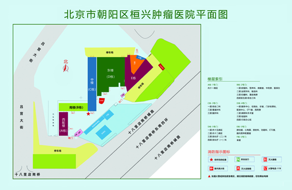 前面进入插骚比视频北京市朝阳区桓兴肿瘤医院平面图